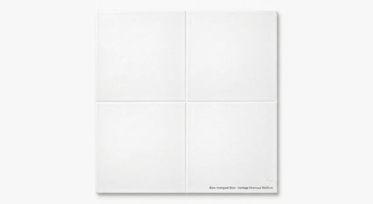 Carrelage Céramique Émaillé 30x30 cm - Élégance et Durabilité Assurée lbgrevetement